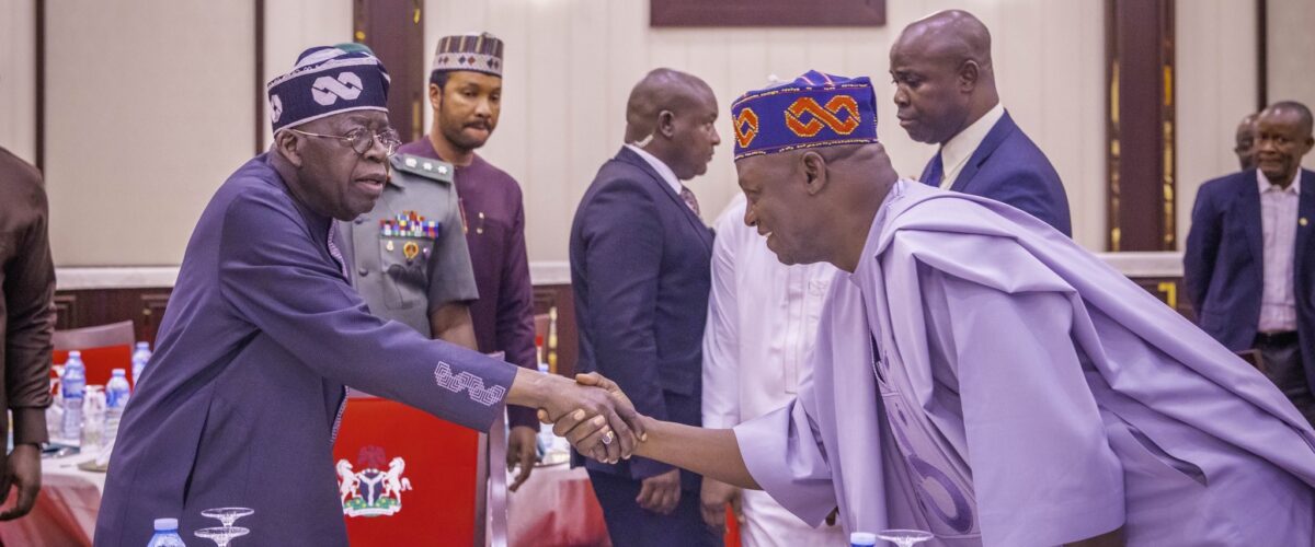 Democracy, rule of law will survive under my administration   Tinubu