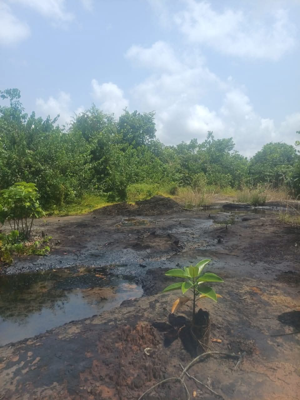 Navy destroys illegal crude oil storage site in Rivers