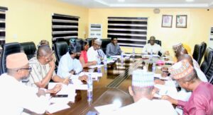 NEMSA, REAN partner to strengthen safety in Nigeria’s renewable sector