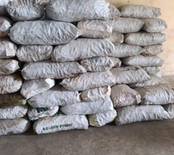 FB IMG 1777003270162 360x320