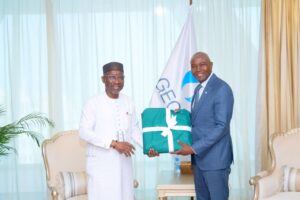 Nigeria’s gas minister urges Africa to balance gas exports with domestic utilisation