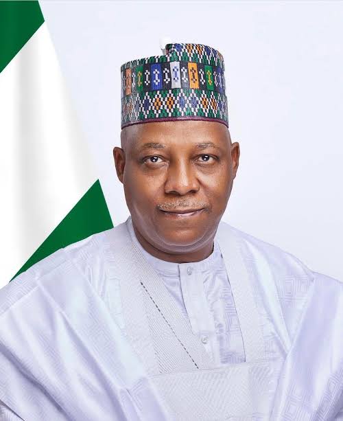 Vice President, Kashim Shettima