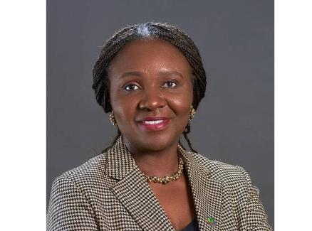 NUPRC Chief Executive, Oritsemeyewa Eyesan