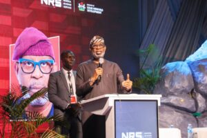 The Minister of Solid Minerals Development, Dele Alake