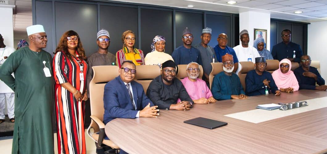 NISO meets presidential adviser on power, pledges commitment to grid stability