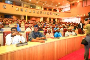Democracy Day: FG defends Tinubu's reforms, says Nigeria on path to recovery