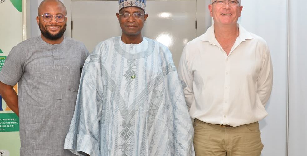 FG set to end poultry supply gaps, tightens oversight of import allocations