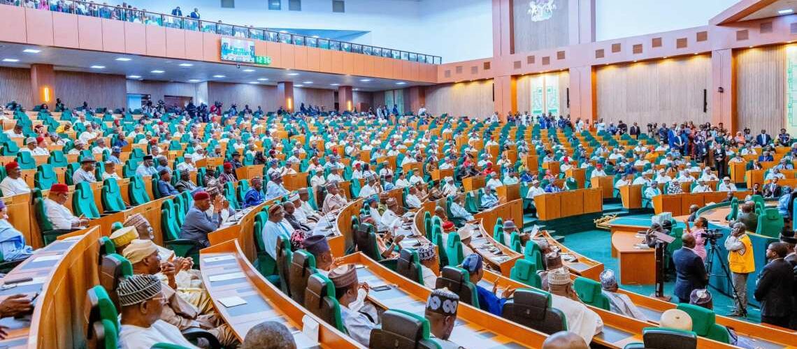 A plenary session of the House of Reps (Photo credit: @HouseNGR)