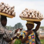 Children hawking groundnut to survive
