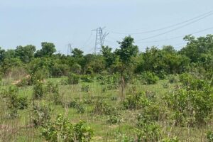 Vandalised transmission tower (Photo Credit: TCN)