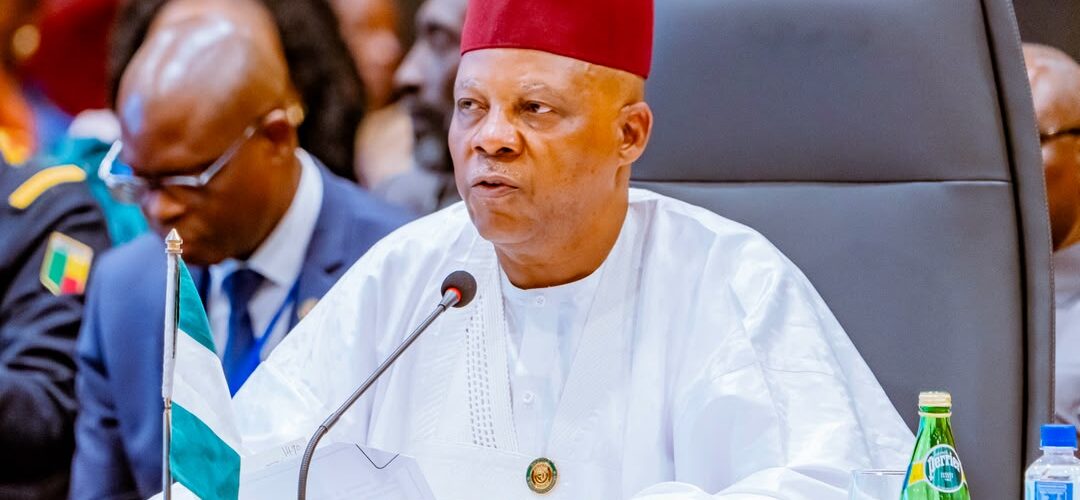 Vice President Kashim Shettima