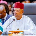Vice President Kashim Shettima