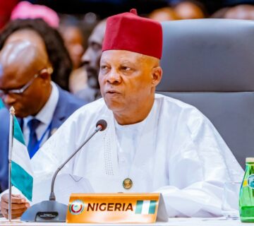 Vice President Kashim Shettima