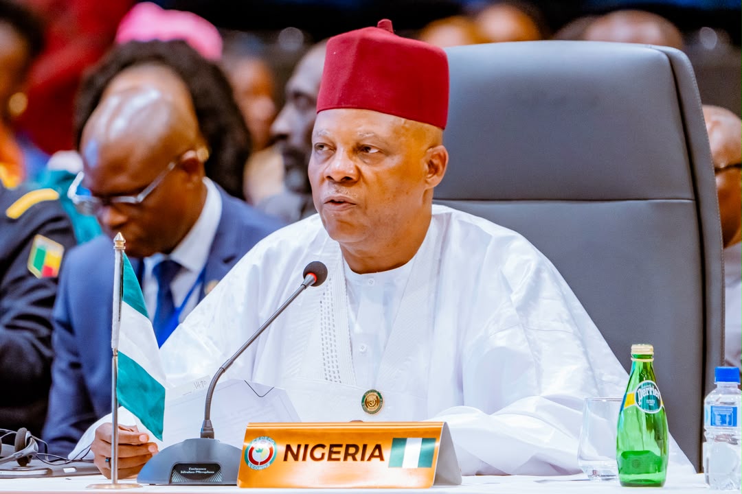Vice President Kashim Shettima