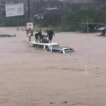 A flood used to illustrate the story 