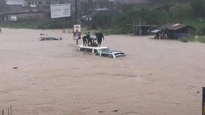 A flood used to illustrate the story 