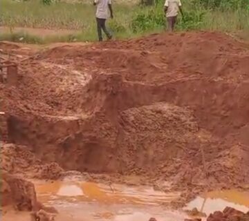 Illegal mining site