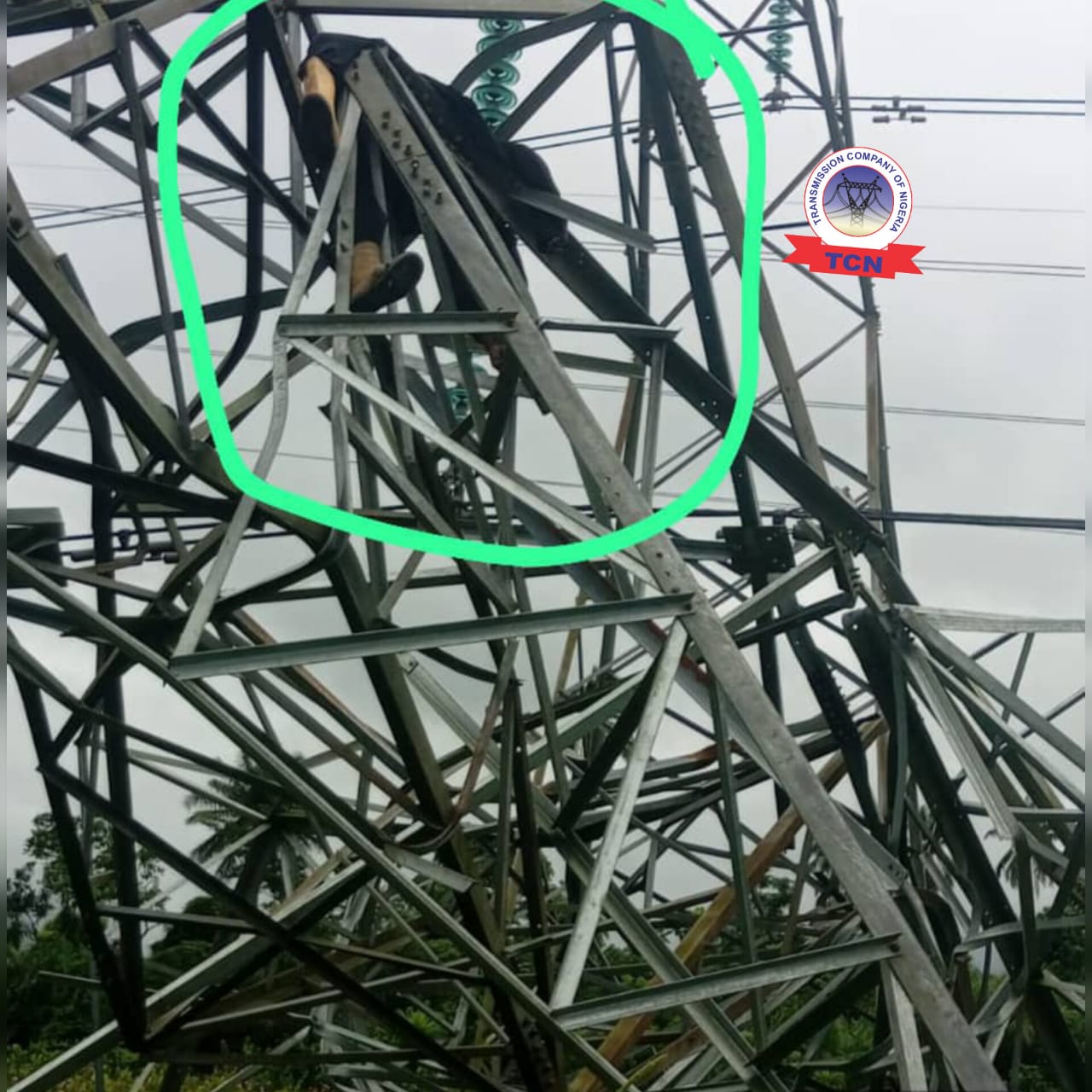 IMG 20260808 WA0006
