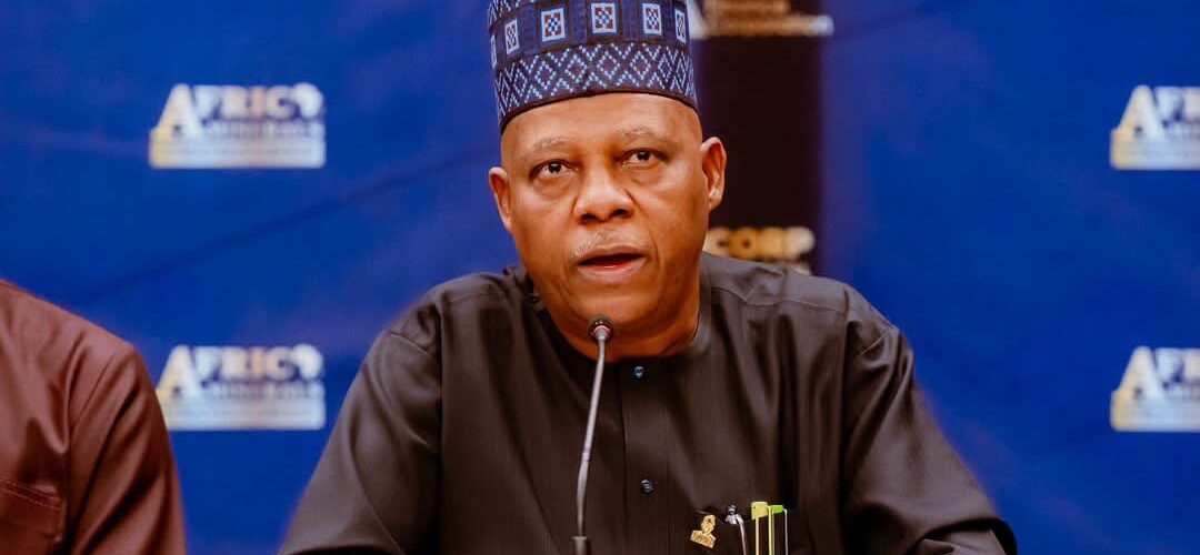Vice President Kashim Shettima