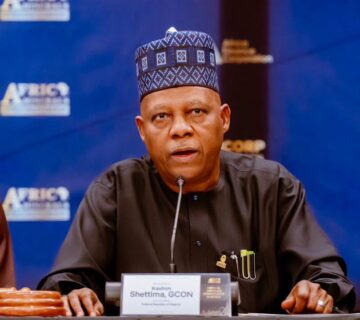 Vice President Kashim Shettima
