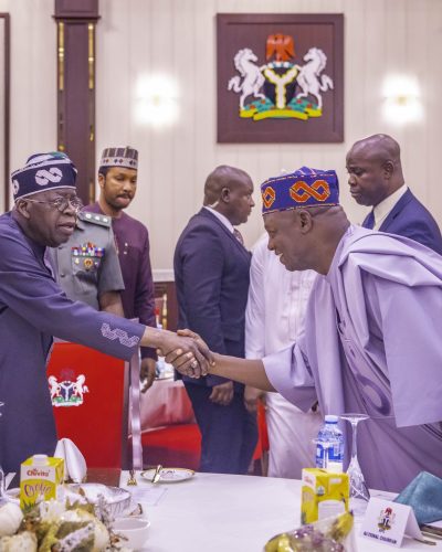 Democracy, rule of law will survive under my administration - Tinubu