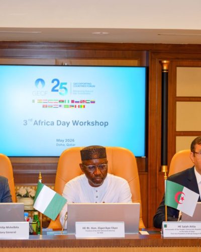Nigeria’s gas minister urges Africa to balance gas exports with domestic utilisation