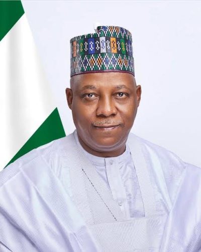 Vice President, Kashim Shettima