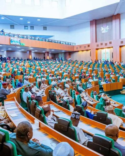 A plenary session of the House of Reps (Photo credit: @HouseNGR)