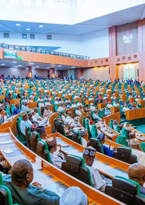 A plenary session of the House of Reps (Photo credit: @HouseNGR)