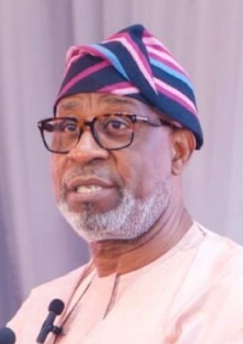 Minister of Solid Minerals Development, Dele Alake.