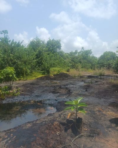 Navy destroys illegal crude oil storage site in Rivers