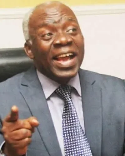 Femi Falana