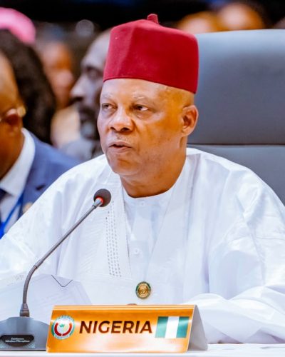 Vice President Kashim Shettima