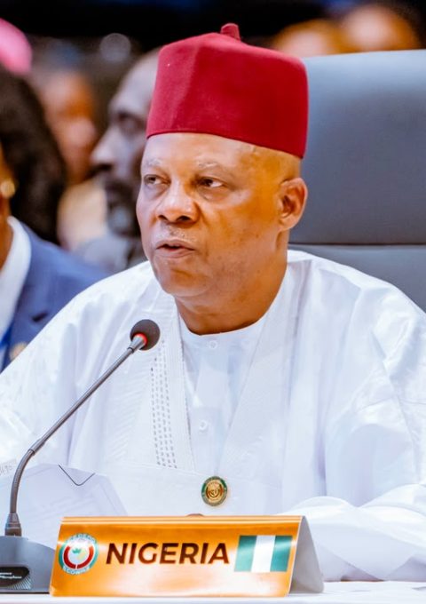 Vice President Kashim Shettima