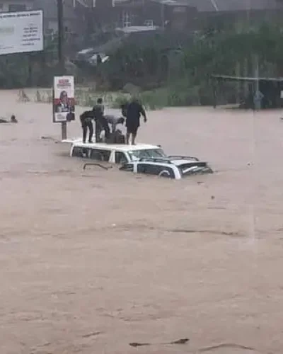 A flood used to illustrate the story.