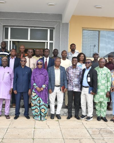 NISO, WAPP intensify technical coordination ahead Phase II regional grid synchronisation