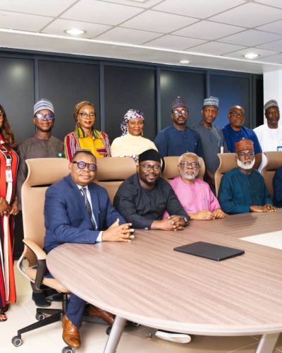 NISO meets presidential adviser on power, pledges commitment to grid stability