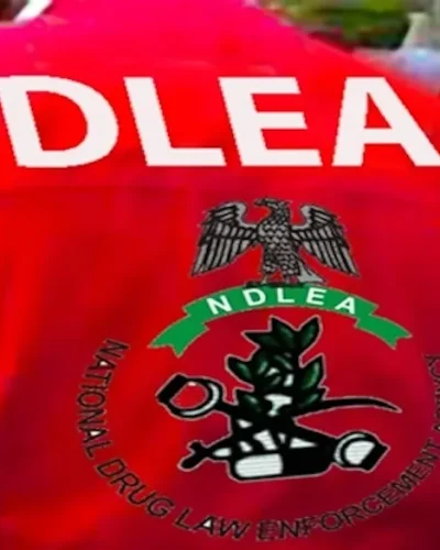 NDLEA