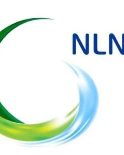 NLNG Logo