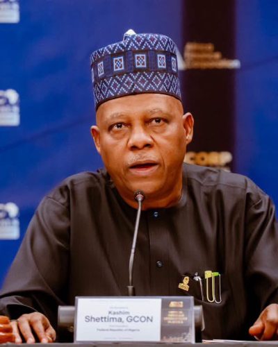 Vice President Kashim Shettima