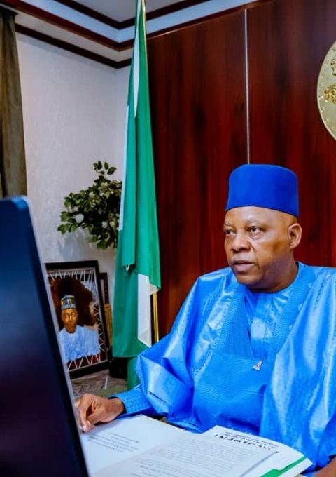 Vice President Kashim Shettima