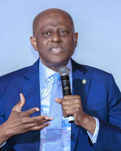 CBN governor, Olayemi Cardoso