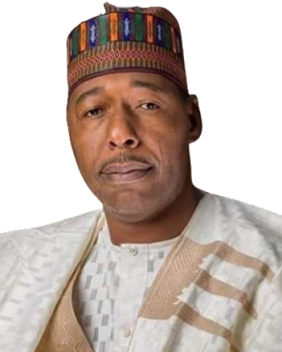 Borno State Governor, Babagana Zulum.