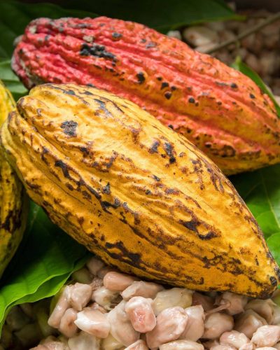 shutterstock_1059190739 cocoa beans (1)